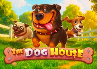 mgm7379 ทางเข้าล่าสุด The Dog House ทดลองเล่นฟรี